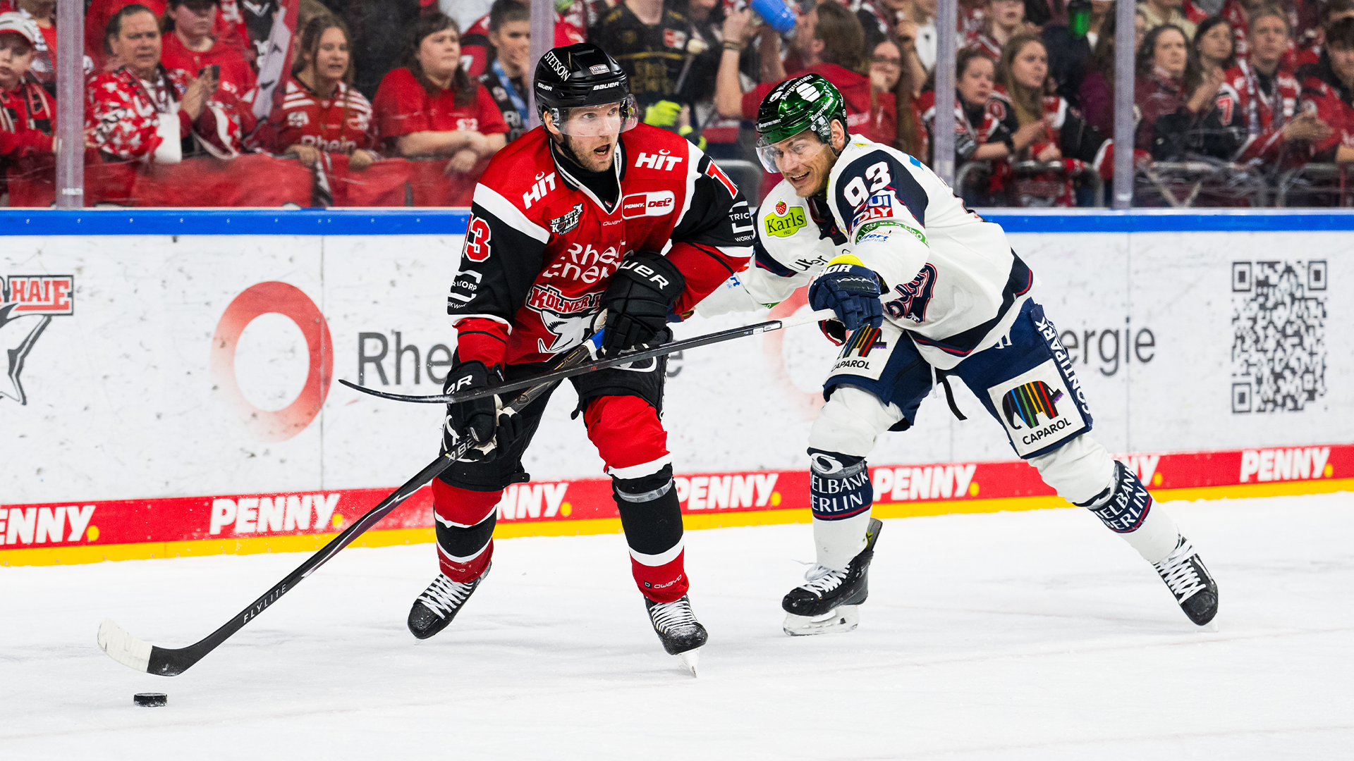 Kölner Haie gg. Eisbären Berlin
